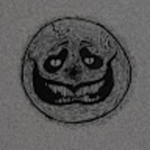 Meet your Posher, Haili - Picture 1 of 1